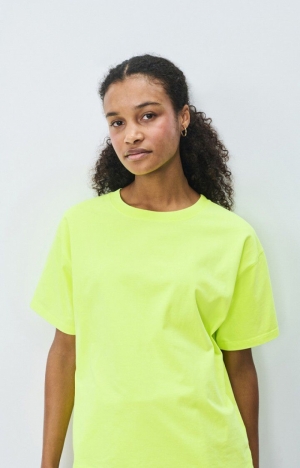 FIZVALLEY MIMOSA FLUO