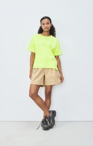 FIZVALLEY MIMOSA FLUO