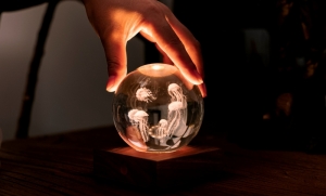 AMBER CRYSTAL LIGHT - JELLY FISH 