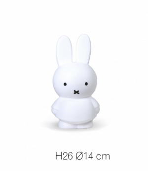 NIJNTJE PUUR SPAARPOT | H26 Ø14 CM WIT