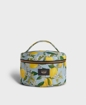 CAPRI - VANITY BAG 