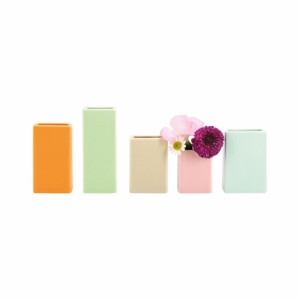 KLEINE VAASJES - SET VAN 5 