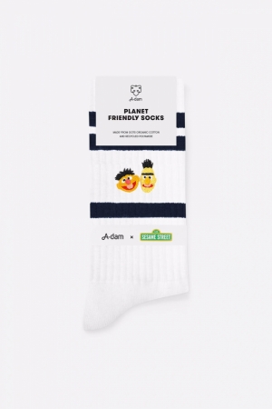 BERT & ERNIE 