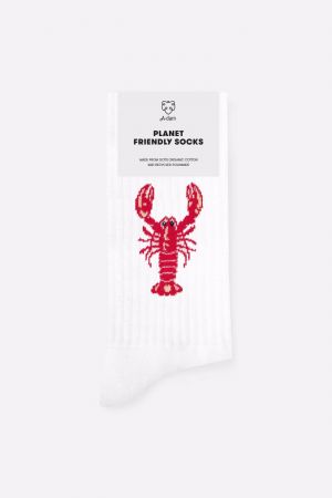 CREW SOCKS WHITE LOBSTER 
