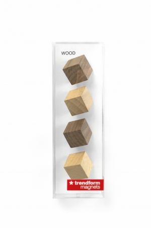 MAGNETEN - HOUTEN KUBUSJES - SET VAN 4 