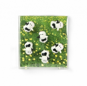 MAGNETEN - KOETJES - SET VAN 6 