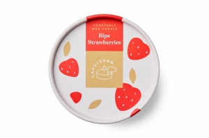 AARDBEIEN - KAARS 