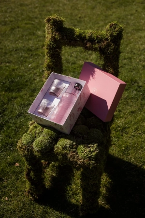 KADOBOX - FLES & 2 GLAZEN ROSE