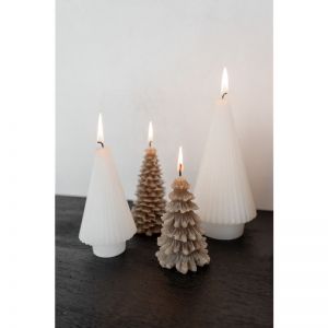 CANDLE TREE JAMES L TAUPE