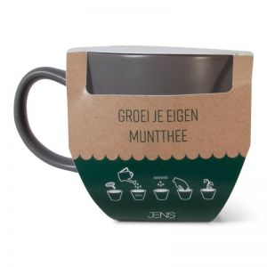 MOK - GROEI JE EIGEN MUNTTHEE MOK 
