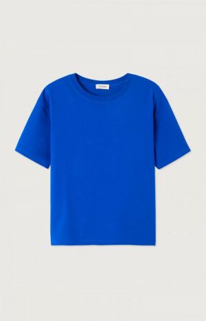 FIZVALLEY BLUEU ROI