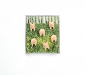 MAGNETEN - PIGGY - SET VAN 5 