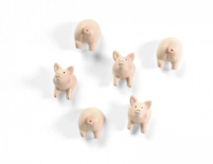 MAGNETEN - PIGGY - SET VAN 5 