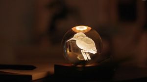 AMBER CRYSTAL LIGHT - KING FISHER 