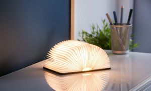 MINI BOOKLIGHT MAPLE