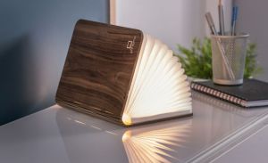 MINI BOOKLIGHT MAPLE 
