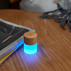 LEMELIA LIGHT - WIGHT ASH 
