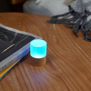 LEMELIA LIGHT - WIGHT ASH 