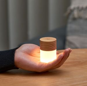 LEMELIA LIGHT - WIGHT ASH 