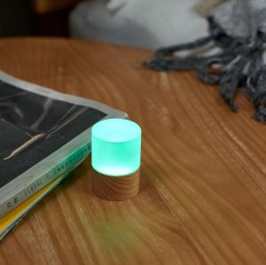 LEMELIA LIGHT - WIGHT ASH 