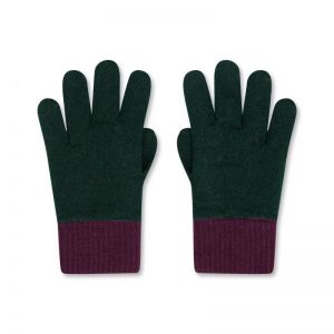 HANDSCHOENEN FOREST