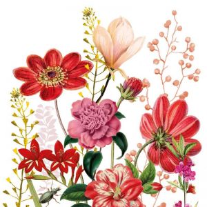 FLORIA  33X33 