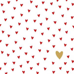 LITTLE HEARTS  25X25 
