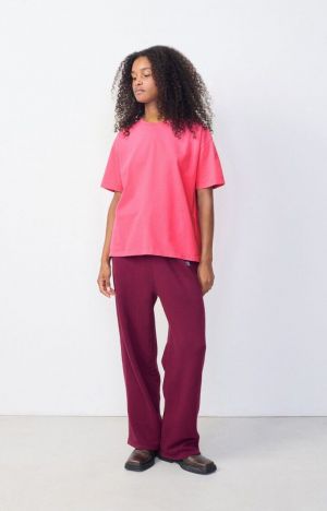 FIZVALLEY ROSE FLUO