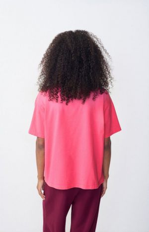FIZVALLEY ROSE FLUO