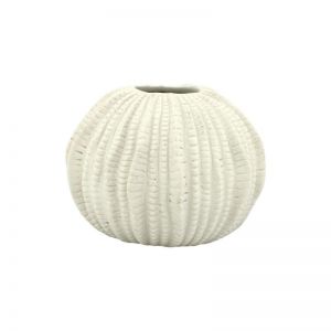 VAAS SEA URCHIN L WHITE