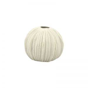 VAAS SEA URCHIN S WHITE