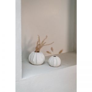 VAAS SEA URCHIN S WHITE