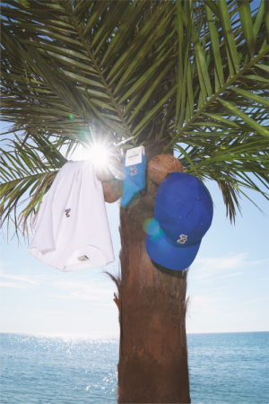 Quarter Crew Socks Blue Palm Tree Patch 