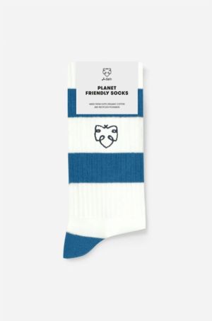 Crew Socks Petrol Fig 