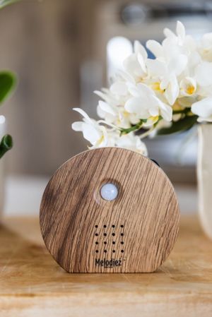 NATUURGELUIDENBOX - DONKERHOUT BRUIN