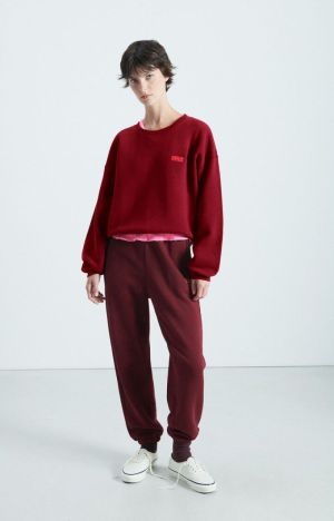 IZUBIRD CERISIER VINT