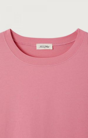 FIZVALLEY EGLANTINE