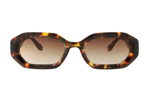BILLIE TOIRTOISE TORTOISE